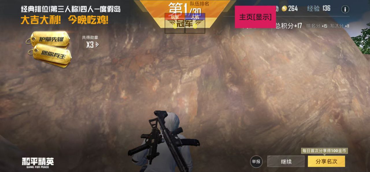 和平精英「小提琴」直装辅助